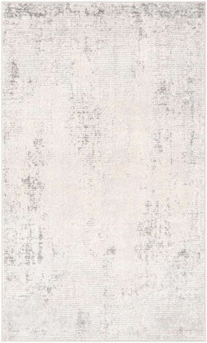 Gray 3' 3 x 5' 3 Caspian Rectangle Area Rug 60% Polypropylene & 40% Polyester With Cotton Backing Modern Chic Carpet for Home Interior Design Decorating for Sale at Rug Engine