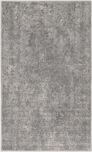 Gray 3' 1 x 5' 3 Portland Rectangle Area Rug 85% Polypropylene & 15% Polyester Vintage Distressed Traditional Carpet for Home Decor for Sale at Rug Engine