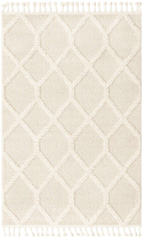 Ivory 4' 1 x 6' 1 Boho Rectangle Area Rug 100% Polyester With Cotton Backing Geometric Modern Boho Bohemian Decor Carpet for Living Rooms Office Dining Kitchen Unique Interior Design for Sale at Rug Engine