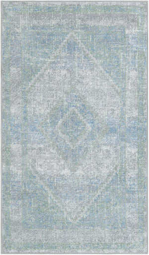 Gray Green 3' 3 x 5' 3 Kamala Washable Rectangle Rug
