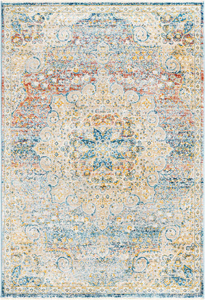 Multicolor 2' x 3' 1 Newport Rectangle Area Rug 100% Polypropylene Traditional Distressed Classic Contemporary Carpet for Home Decor for Sale at Rug Engine