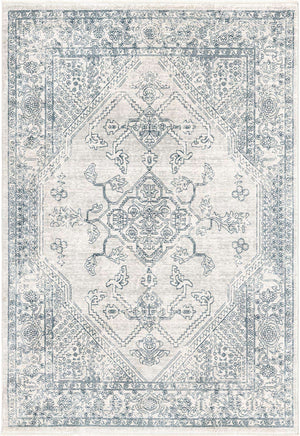 Gray 2' x 3' 1 Newport Rectangle Area Rug 100% Polypropylene Traditional Distressed Classic Contemporary Carpet for Home Decor for Sale at Rug Engine