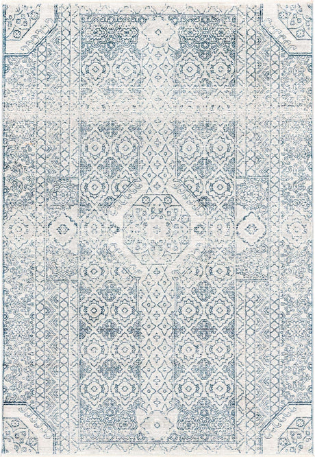 Gray 2' x 3' 1 Newport Rectangle Area Rug 100% Polypropylene Traditional Distressed Classic Contemporary Carpet for Home Decor for Sale at Rug Engine