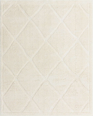 Ivory 2' x 3' 1 Trellis Shag Rectangle Area Rug Thick Soft Touch Fluffy & Plush Shaggy Pile