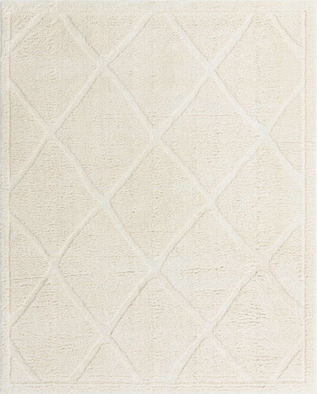 Ivory 2' x 3' 1 Trellis Shag Rectangle Area Rug Thick Soft Touch Fluffy & Plush Shaggy Pile