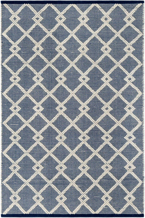 Blueberry 4' 1 x 6' 1 Jill Zarin Dorset Rectangle Area Rug Premium Wool & Cotton Blend All Natural Pile Carpet for Bedrooms, Offices, Living Rooms, Dorms for Sale at Rug Engine