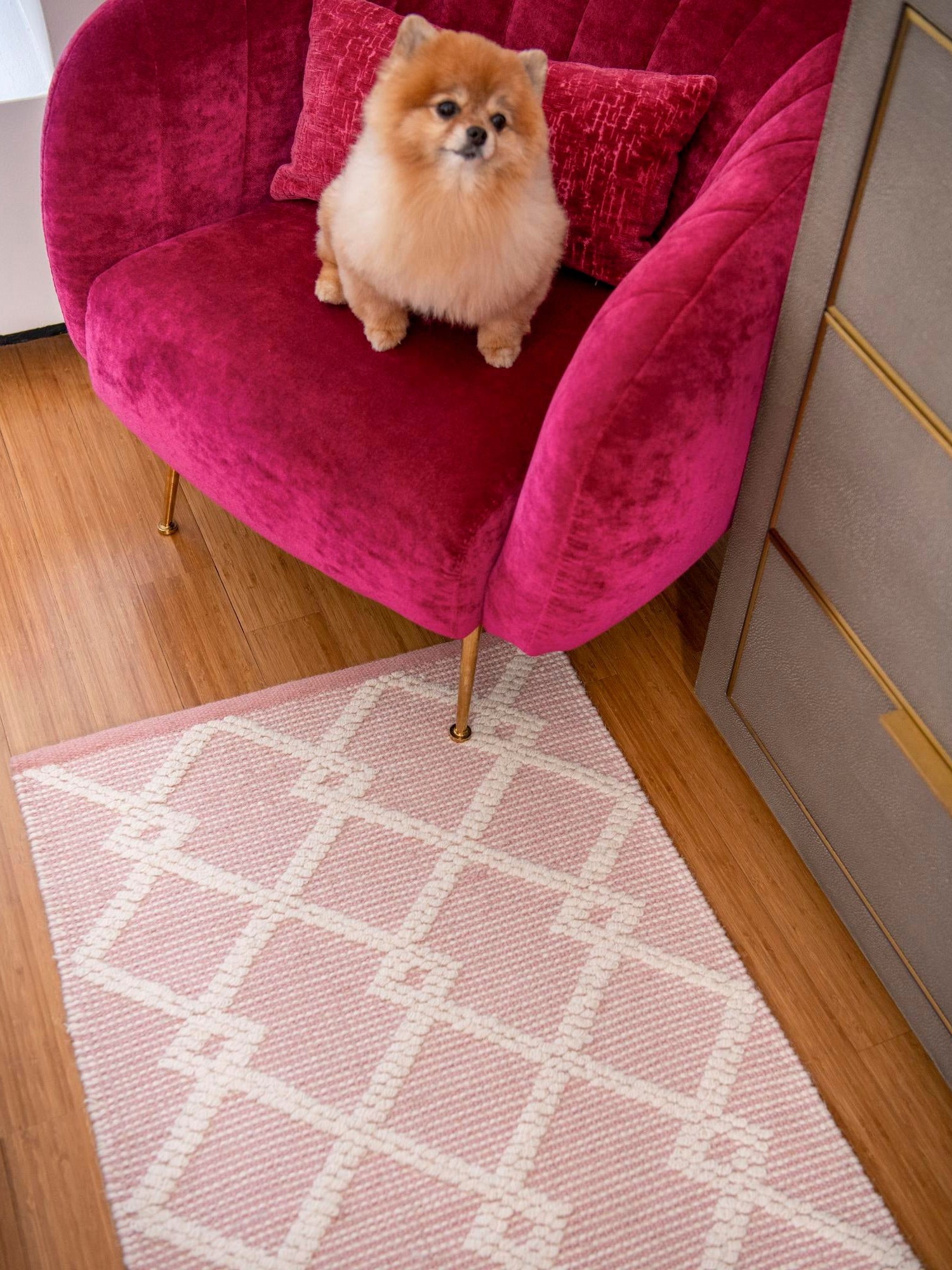 English Rose 2' x 8' Jill Zarin Dorset Runner Area Rug Premium Wool & Cotton Blend All Natural Pile Carpet for Bedrooms, Offices, Living Rooms, Dorms for Sale at Rug Engine