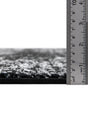 Black 7' 10 x 10' Sofia Oval Area Rug Durable Easy Clean Stain Resistant Unique Carpet for Affordable Interior Home Design for Sale at Rug Engine