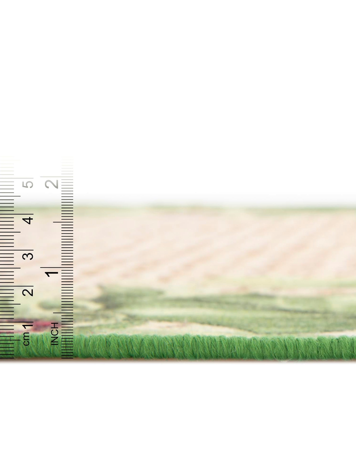 Beige and Green 5' 3 x 8' Jill Zarin Caribbean Outdoor Rectangle Area Rug Weather Resistant for Patio, Deck, Terrace, Balcony, Porch 100% Premium Nylon Pile Coastal Carpet for Sale at Rug Engine