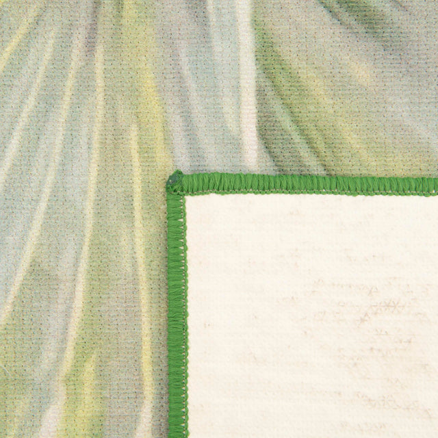 Green 2' x 3' 11 Jill Zarin Caribbean Outdoor Runner Area Rug Weather Resistant for Patio, Deck, Terrace, Balcony, Porch 100% Premium Nylon Pile Coastal Carpet for Sale at Rug Engine