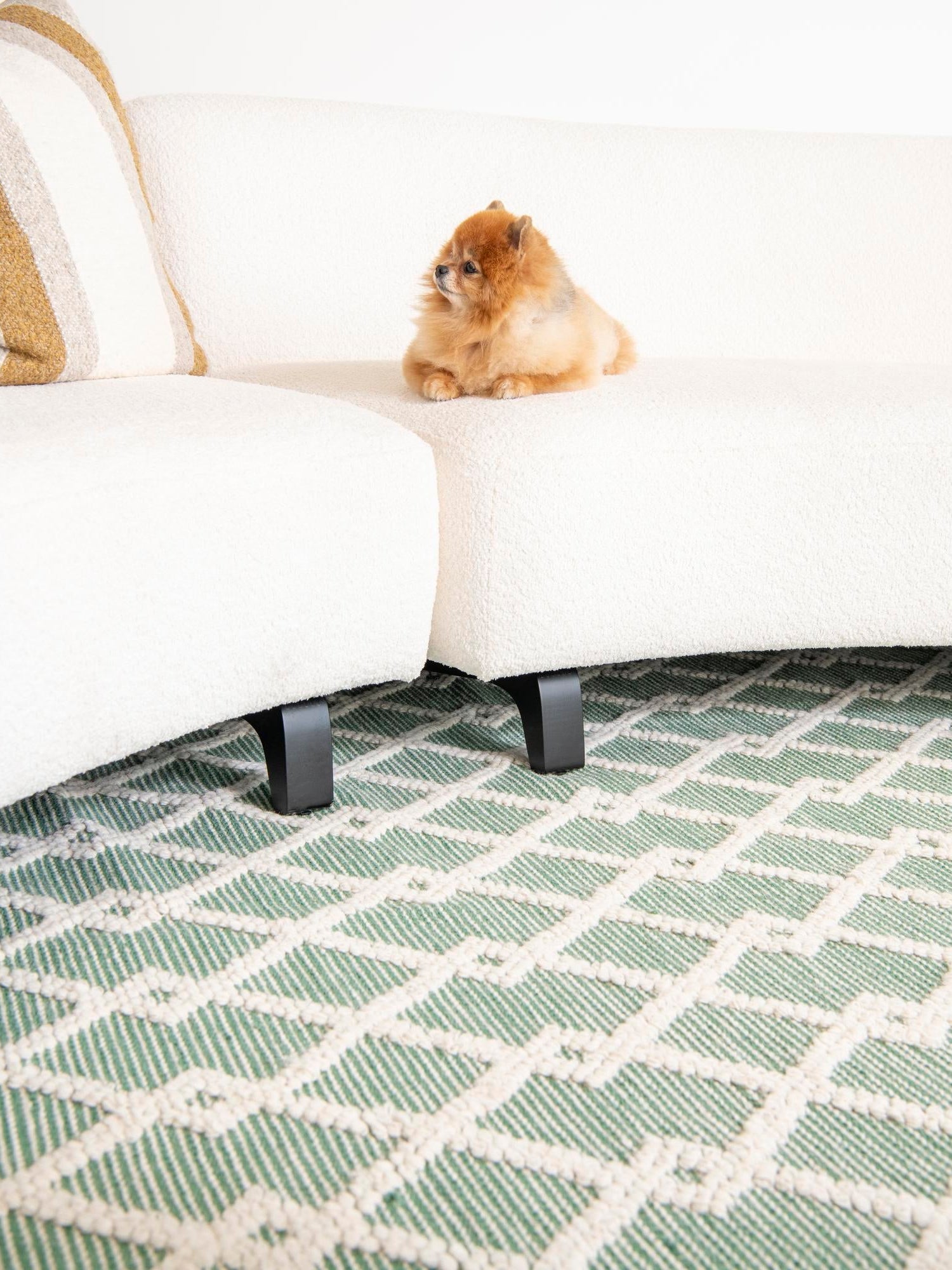 Mint Green 6' 1 x 9' Jill Zarin Dorset Rectangle Area Rug Premium Wool & Cotton Blend All Natural Pile Carpet for Bedrooms, Offices, Living Rooms, Dorms for Sale at Rug Engine