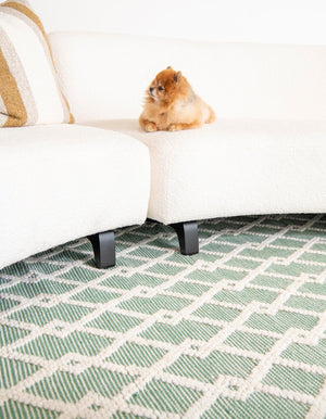 Mint Green 6' 1 x 9' Jill Zarin Dorset Rectangle Area Rug Premium Wool & Cotton Blend All Natural Pile Carpet for Bedrooms, Offices, Living Rooms, Dorms for Sale at Rug Engine