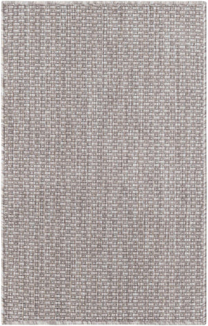 Beige 2' x 3' 1 Outdoor Solid Rectangle Rug