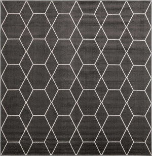 Dark Gray 10' x 10' Trellis Frieze Square Area Rug Geometric Modern Unique Stain Resistant Easy Clean Carpet for Living, Dining, Bedrooms, Office for Sale at Rug Engine