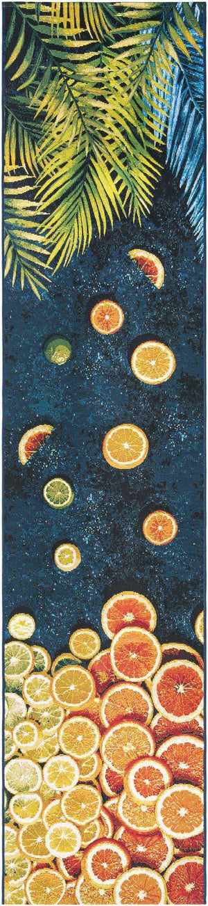 Multicolor 2' 7 x 12' Outdoor Coastal Runner Area Rug Weather Resistant for Patio, Deck, Terrace, Balcony, Porch 100% Polypropylene Coastal Decor Carpet for Sale at Rug Engine