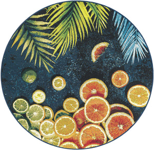 Multicolor 4' 1 x 4' 1 Outdoor Coastal Round Area Rug Weather Resistant for Patio, Deck, Terrace, Balcony, Porch 100% Polypropylene Coastal Decor Carpet for Sale at Rug Engine
