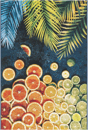 Multicolor 4' 1 x 6' 1 Outdoor Coastal Rectangle Area Rug Weather Resistant for Patio, Deck, Terrace, Balcony, Porch 100% Polypropylene Coastal Decor Carpet for Sale at Rug Engine
