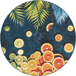 Multicolor 6' 1 x 6' 1 Outdoor Coastal Round Area Rug Weather Resistant for Patio, Deck, Terrace, Balcony, Porch 100% Polypropylene Coastal Decor Carpet for Sale at Rug Engine