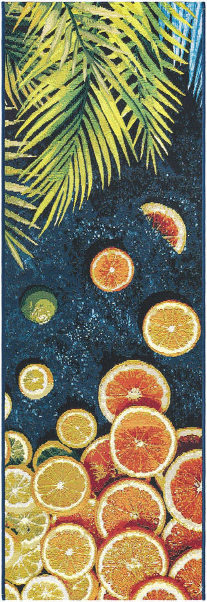 Multicolor 2' x 6' 1 Outdoor Coastal Runner Area Rug Weather Resistant for Patio, Deck, Terrace, Balcony, Porch 100% Polypropylene Coastal Decor Carpet for Sale at Rug Engine