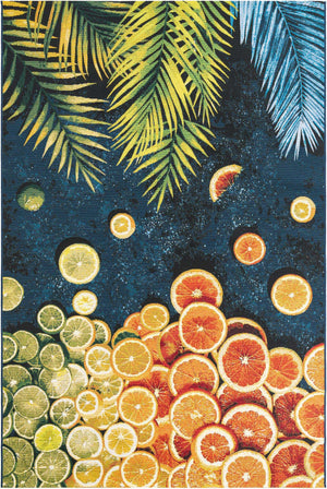 Multicolor 6' 1 x 9' Outdoor Coastal Rectangle Area Rug Weather Resistant for Patio, Deck, Terrace, Balcony, Porch 100% Polypropylene Coastal Decor Carpet for Sale at Rug Engine