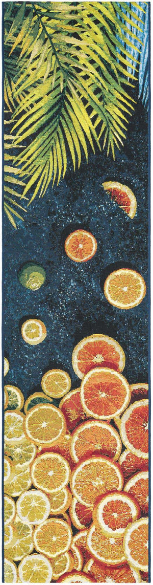 Multicolor 2' x 8' Outdoor Coastal Runner Area Rug Weather Resistant for Patio, Deck, Terrace, Balcony, Porch 100% Polypropylene Coastal Decor Carpet for Sale at Rug Engine