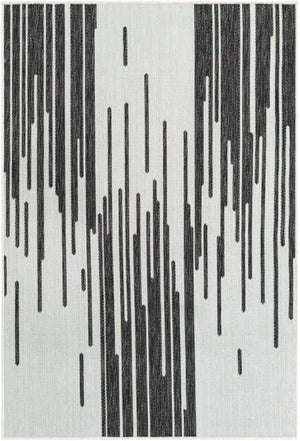 Black and White 4' 1 x 6' 1 Outdoor Modern Rectangle Area Rug Weather Resistant for Patio, Deck, Terrace, Balcony, Porch 100% Polypropylene Modern Outside Carpet for Sale at Rug Engine