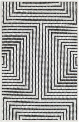 White and Black 2' x 3' 1 Outdoor Modern Rectangle Area Rug Weather Resistant for Patio, Deck, Terrace, Balcony, Porch 100% Polypropylene Modern Outside Carpet for Sale at Rug Engine