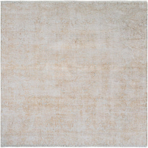 Ivory 5' 1 x 5' 1 Boutique Square Area Rug Chenille Polyester Cotton Traditional Oriental Inspired Classical Carpet for Living Rooms Dining Office Space Interior Design for Sale at Rug Engine