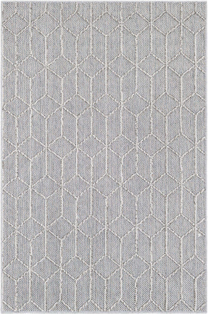 Light Gray 4' 1 x 6' 1 Symphony Outdoor Rectangle Area Rug Weather Resistant for Patio, Deck, Terrace, Balcony, Porch Durable Outside Carpet for Sale at Rug Engine