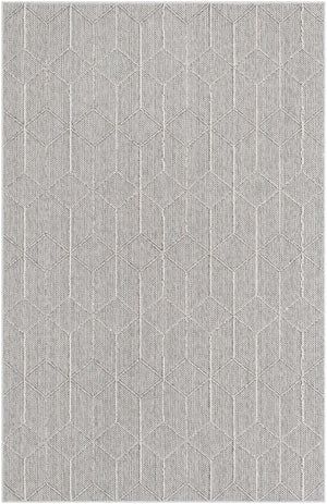 Light Gray 5' 3 x 8' Symphony Outdoor Rectangle Area Rug Weather Resistant for Patio, Deck, Terrace, Balcony, Porch Durable Outside Carpet for Sale at Rug Engine