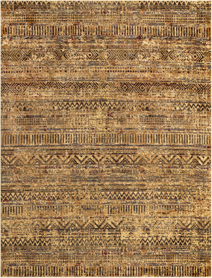 Beige 10' x 13' 1 Saturn Rectangle Area Rug Stain Resistant Easy Clean Classic Vintage Design Durable Carpet for Affordable Home Interiors for Sale at Rug Engine