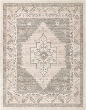 Mink 10' x 13' 1 Whitney Rectangle Area Rug Classic Vintage Distressed Look Traditional Persian Inspired Carpet for Home Decor for Sale at Rug Engine