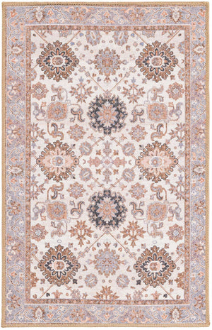 Washable Ivory 2' x 3' 1 Timeless Rectangle Area Rug Easy to Clean Stain Resistant & Durable Traditional Classic Vintage Design Carpet for Sale at Rug Engine