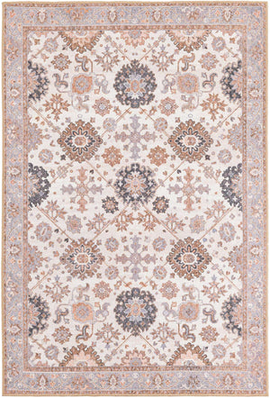 Washable Ivory 4' 1 x 6' 1 Timeless Rectangle Area Rug Easy to Clean Stain Resistant & Durable Traditional Classic Vintage Design Carpet for Sale at Rug Engine