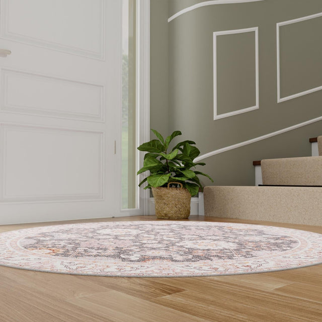 Washable Gray 7' 10 x 7' 10 Timeless Round Area Rug Easy to Clean Stain Resistant & Durable Traditional Classic Vintage Design Carpet for Sale at Rug Engine