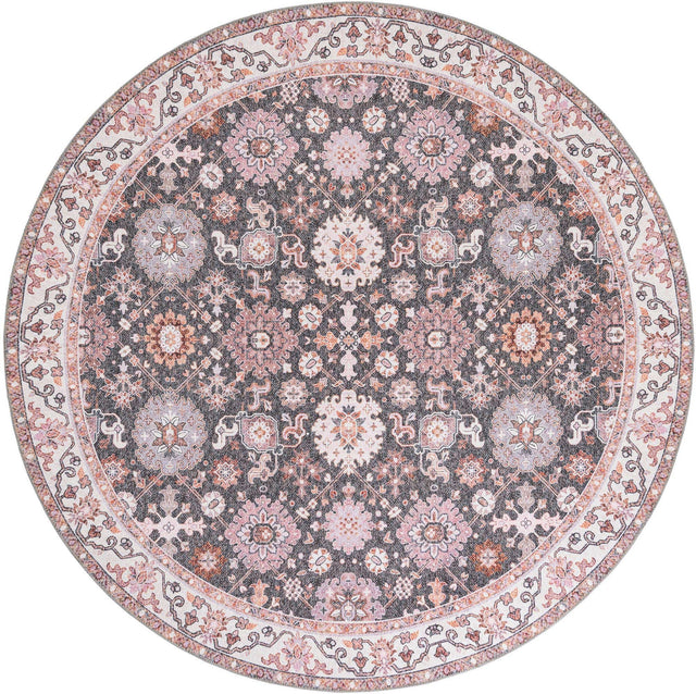 Washable Gray 7' 10 x 7' 10 Timeless Round Area Rug Easy to Clean Stain Resistant & Durable Traditional Classic Vintage Design Carpet for Sale at Rug Engine