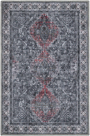 Washable Gray 2' x 3' 1 Timeless Rectangle Area Rug Easy to Clean Stain Resistant & Durable Traditional Classic Vintage Design Carpet for Sale at Rug Engine