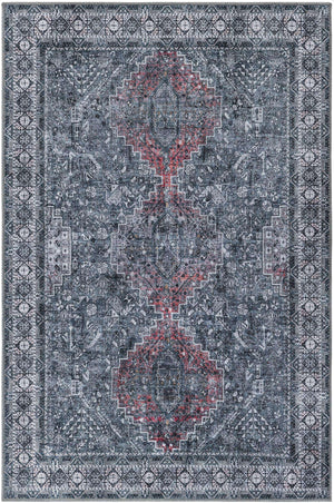 Washable Gray 4' 1 x 6' 1 Timeless Rectangle Area Rug Easy to Clean Stain Resistant & Durable Traditional Classic Vintage Design Carpet for Sale at Rug Engine