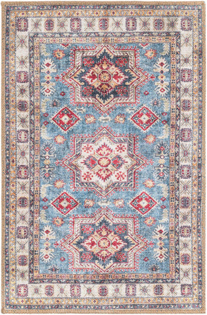 Washable Light Blue 2' x 3' 1 Timeless Rectangle Area Rug Easy to Clean Stain Resistant & Durable Traditional Classic Vintage Design Carpet for Sale at Rug Engine