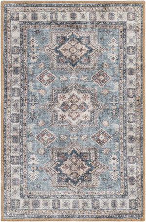Washable Soft Green 2' x 3' 1 Timeless Rectangle Area Rug Easy to Clean Stain Resistant & Durable Traditional Classic Vintage Design Carpet for Sale at Rug Engine