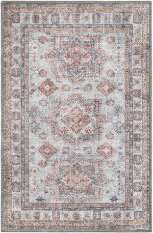Washable Ivory 2' x 3' 1 Timeless Rectangle Area Rug Easy to Clean Stain Resistant & Durable Traditional Classic Vintage Design Carpet for Sale at Rug Engine