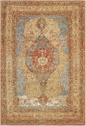 Blue and Light Brown 4' 1 x 6' 1 Outdoor Traditional Rectangle Area Rug Weather Resistant for Patio, Deck, Terrace, Balcony, Porch Classical Design Outside Carpet for Sale at Rug Engine