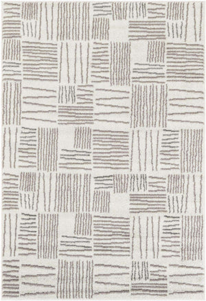 Ivory 4' 1 x 6' 1 Hanahan Rectangle Area Rug 100% Polypropylene With Jute Backing Abstract Geometric Modern Carpet for Living, Dining Room, Office Space for Sale at Rug Engine