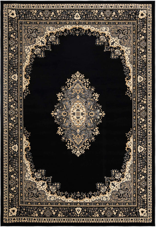 Black 10' x 14' 1 Reza Rectangle Area Rug 100% Polypropylene Easy Clean Traditional Motif Classic Carpet for Home Interiors for Sale at Rug Engine