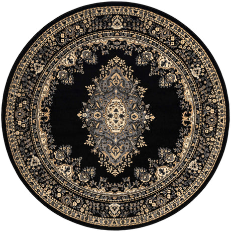 Black 6' 1 x 6' 1 Reza Round Area Rug 100% Polypropylene Easy Clean Traditional Motif Classic Carpet for Home Interiors for Sale at Rug Engine