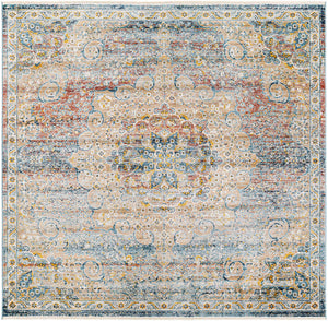 Multicolor 6' 1 x 6' 1 Newport Square Area Rug 100% Polypropylene Traditional Distressed Classic Contemporary Carpet for Home Decor for Sale at Rug Engine