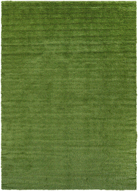 Green 10' x 14' 1 Outdoor Grass Rectangle Area Rug Thick Soft Touch Fluffy & Plush Shaggy Pile Weather Resistant for Patio, Deck, Terrace, Balcony, Porch