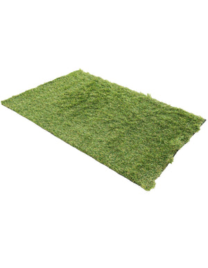 Green 2' x 3' 1 Outdoor Grass Rectangle Area Rug Thick Soft Touch Fluffy & Plush Shaggy Pile Weather Resistant for Patio, Deck, Terrace, Balcony, Porch