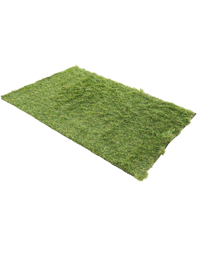 Green 2' x 3' 1 Outdoor Grass Rectangle Area Rug Thick Soft Touch Fluffy & Plush Shaggy Pile Weather Resistant for Patio, Deck, Terrace, Balcony, Porch