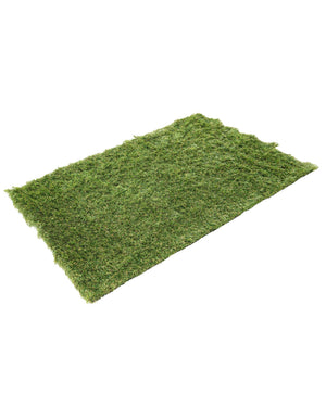 Green 2' x 3' 1 Outdoor Grass Rectangle Area Rug Thick Soft Touch Fluffy & Plush Shaggy Pile Weather Resistant for Patio, Deck, Terrace, Balcony, Porch
